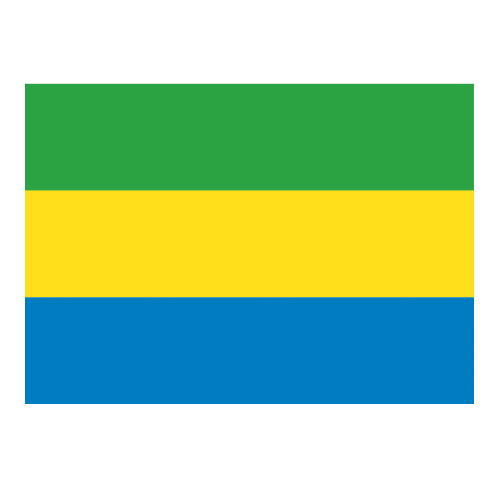 Gabon Flag Transparent Picture