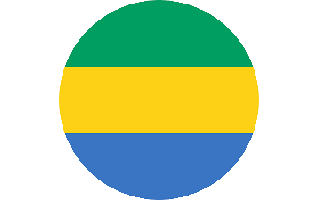 Gabon Flag PNG