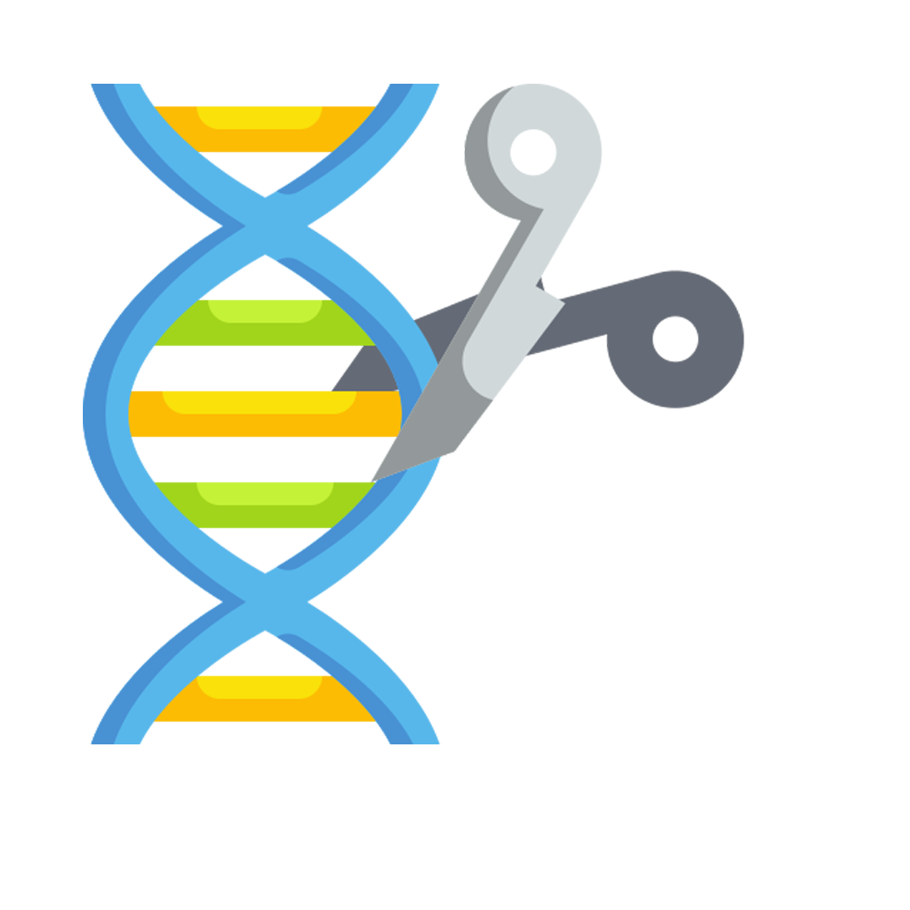 Genetic Modification Free Sticker Transparent Image