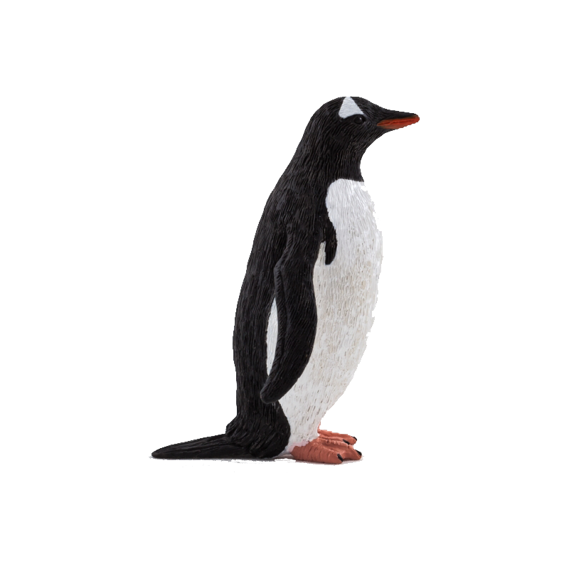 Gentoo Penguin Transparent Picture