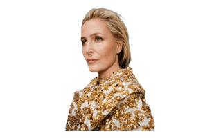 Gillian Anderson PNG