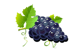 Grapes Cartoon PNG