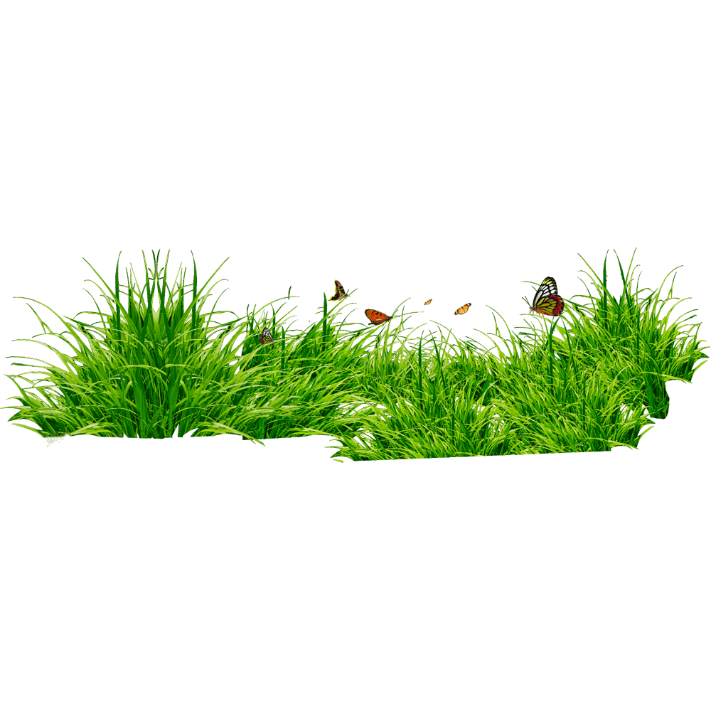 Grass Transparent Image