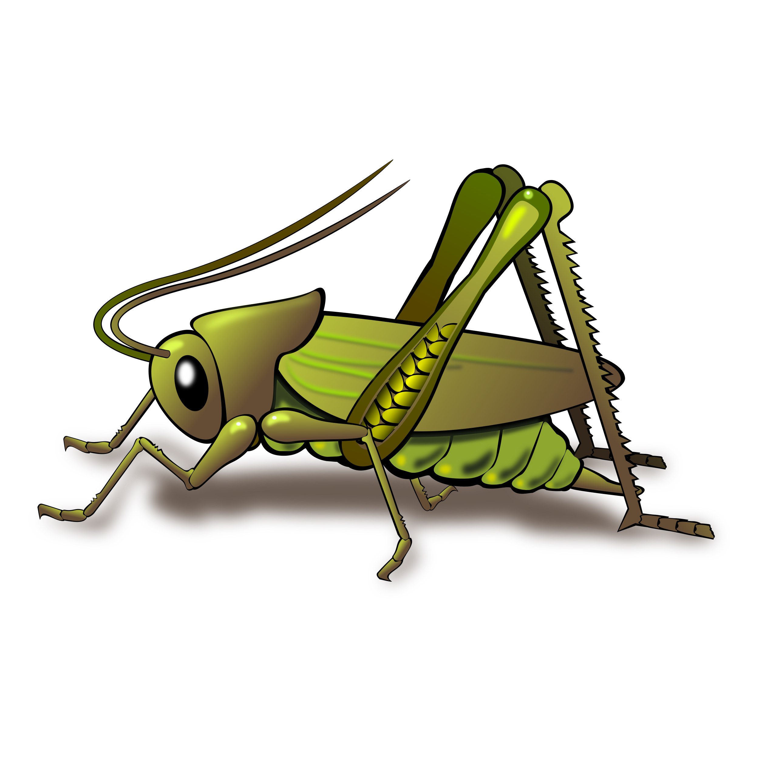 Grasshopper Transparent Image