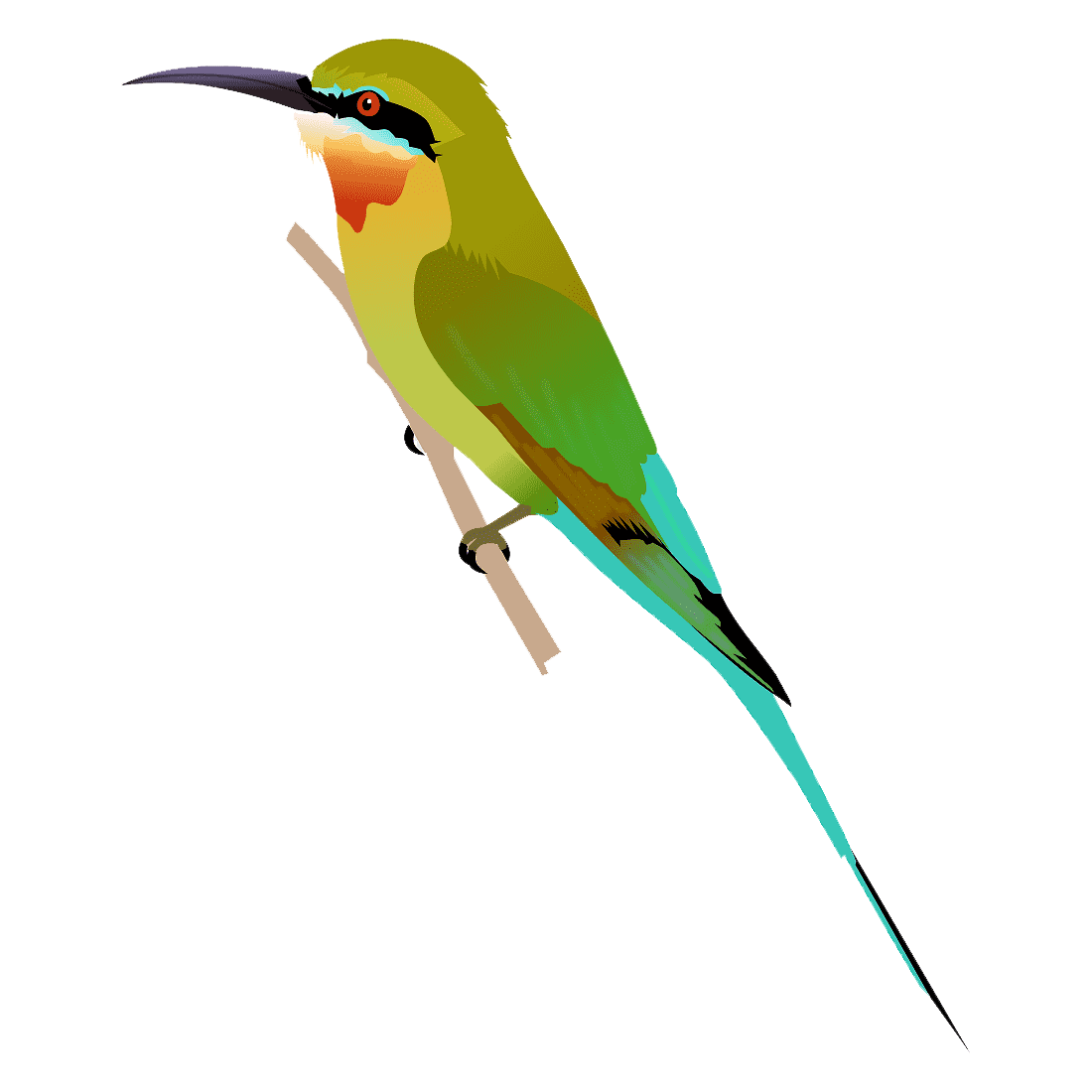 Green Bee Eater Transparent Image