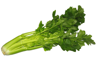 Green Celery PNG