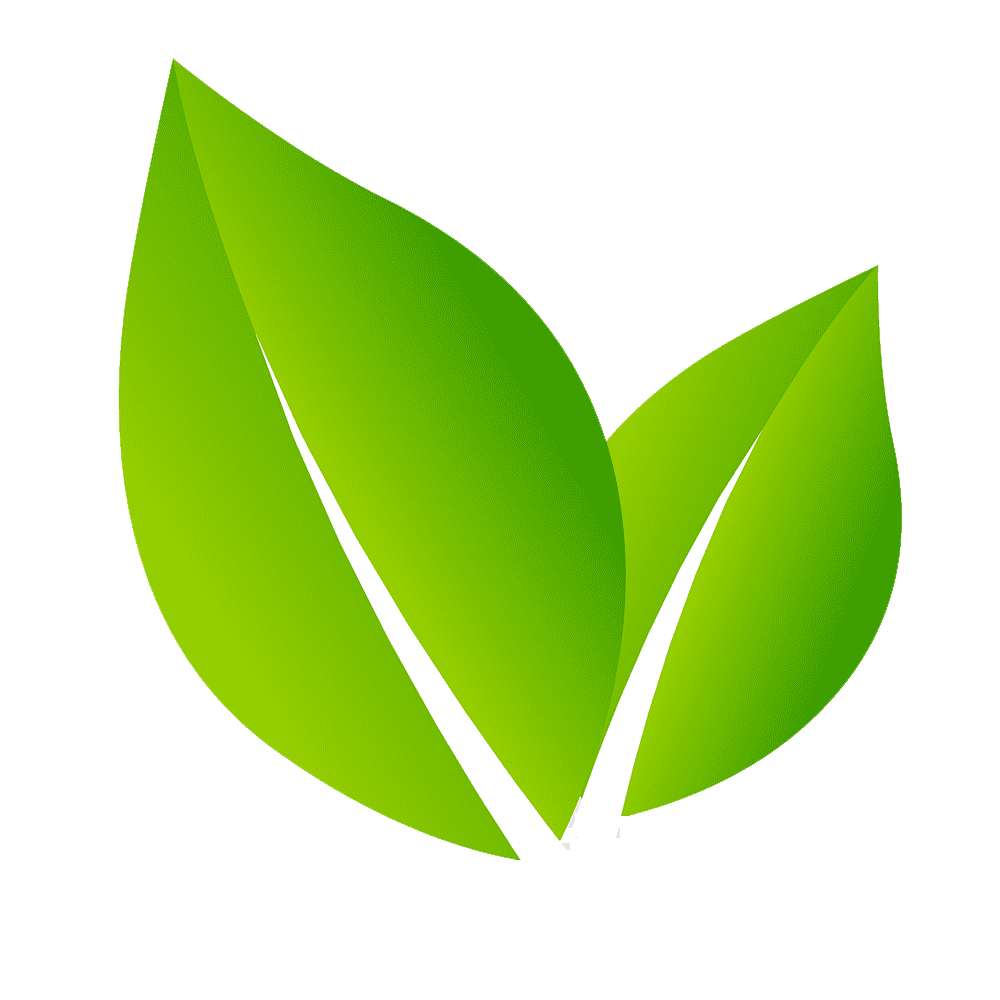 Логотип лепесток. Зеленый лист символ. Лист иконка. Зеленые листочки. Значок листочка.
