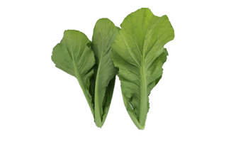 Green Mustard PNG