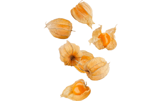 Flat Peach PNG