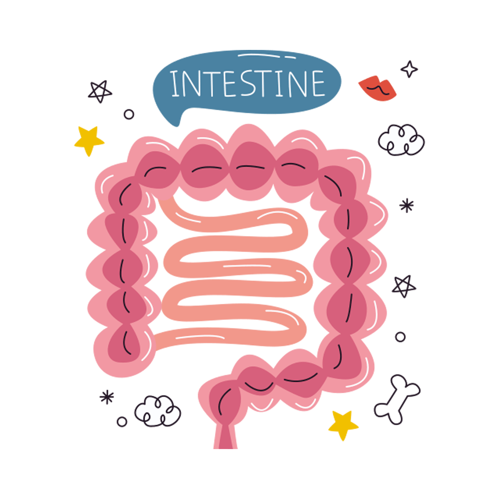 Guts Free Sticker Transparent Clipart