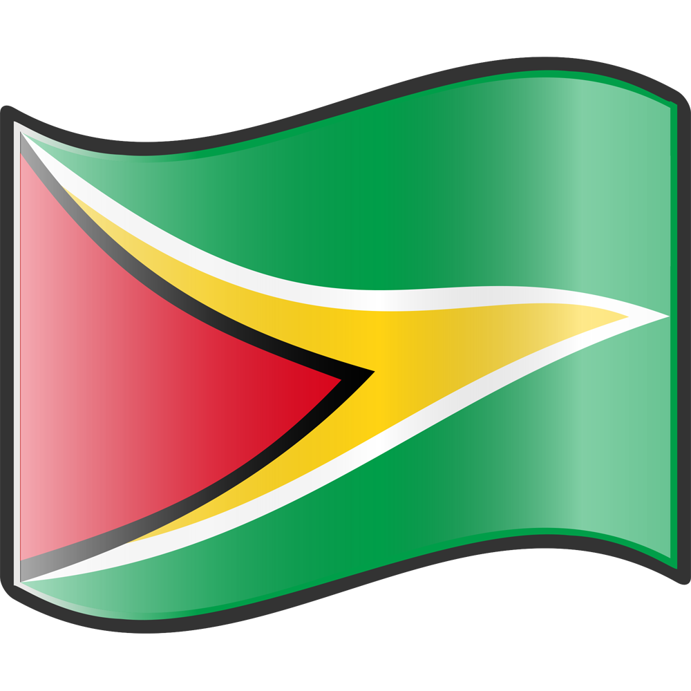 Guyana Flag Transparent Picture