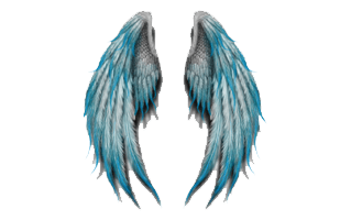 Halloween Angel Wing PNG