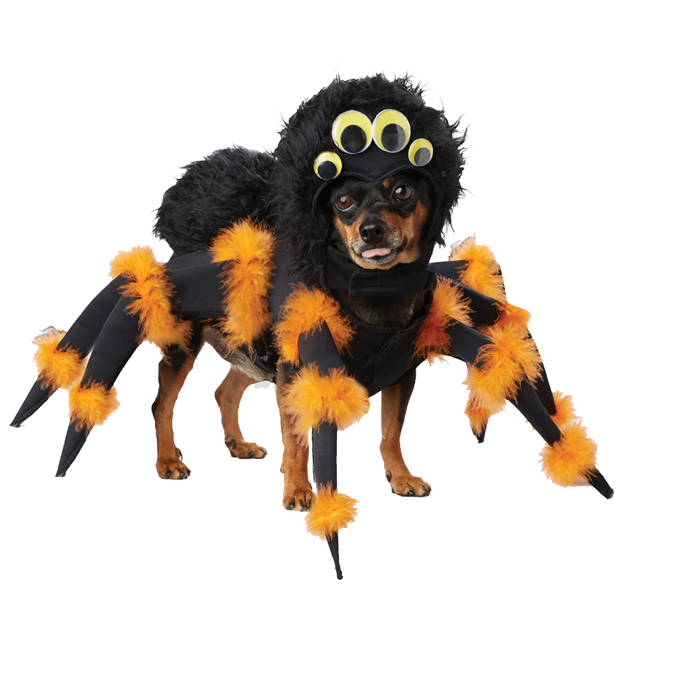 Halloween Dog Transparent Clipart