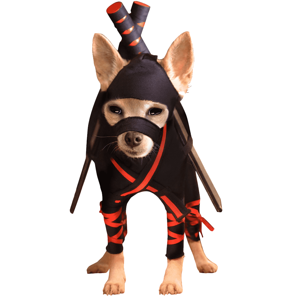 Halloween Dog Costume Transparent Picture