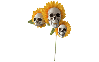 Halloween Flower PNG