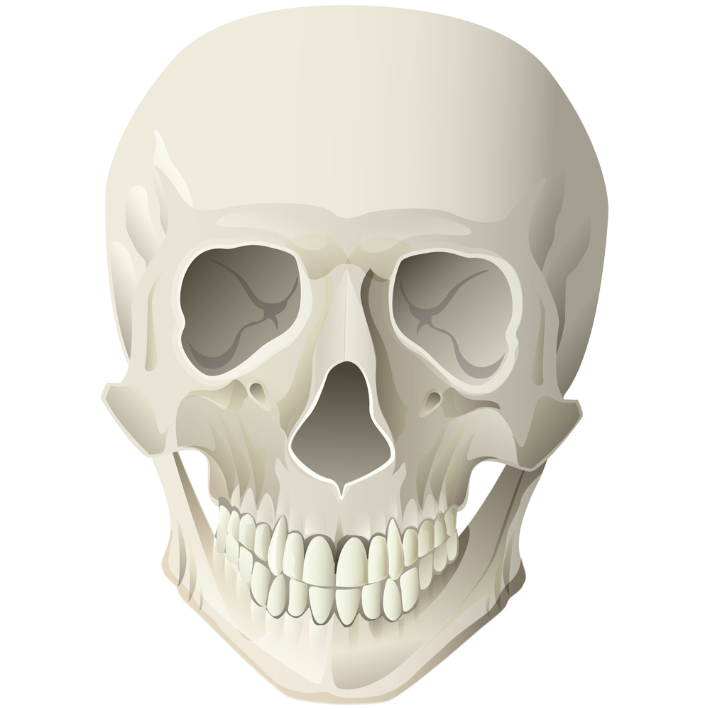 Halloween Human Skull Transparent Picture