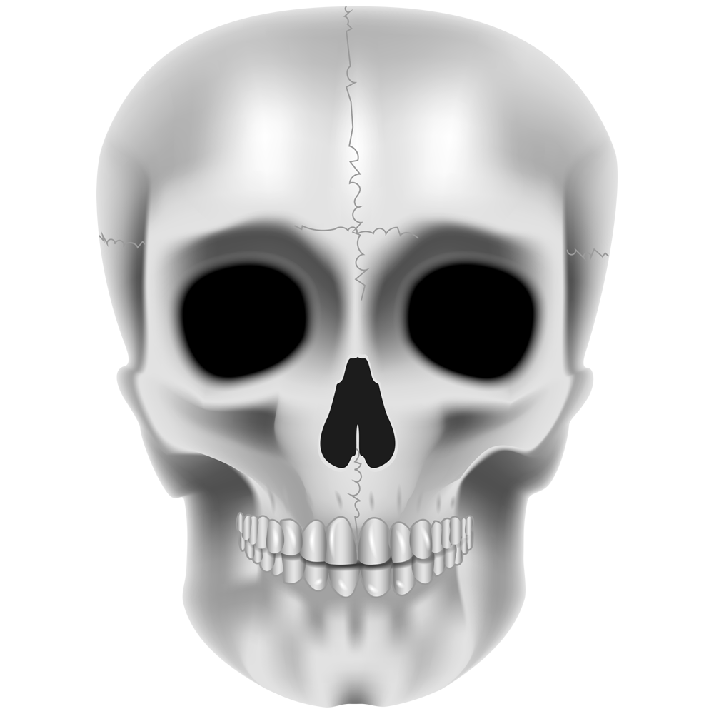Halloween Human Skull Transparent Clipart