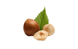 Hazelnut PNG