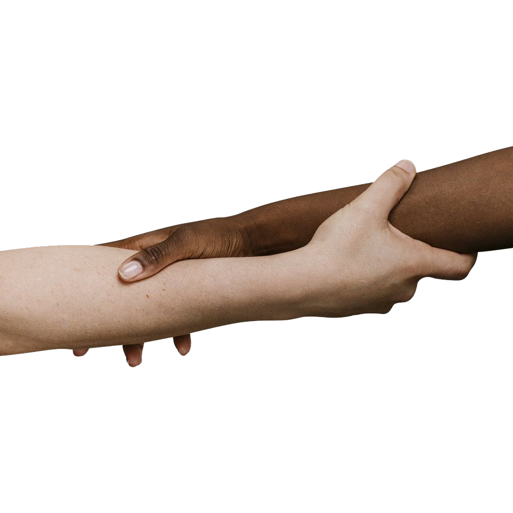 Holding Hand Transparent Picture