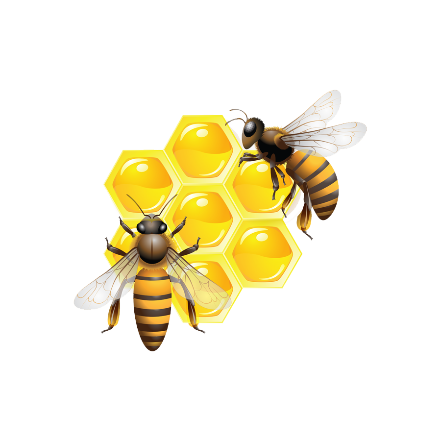 Honey Bee Transparent Picture