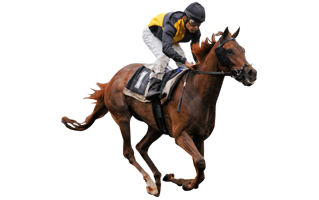 Horse Riding PNG