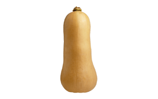 Hubbard Squash PNG