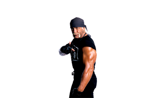 Hulk Hogan