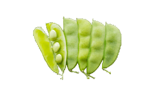 Buttercup Squash PNG