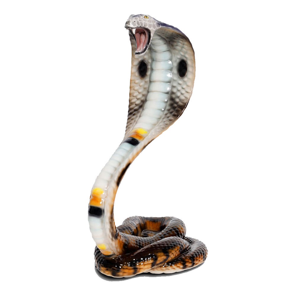 Indian Cobra Transparent Picture