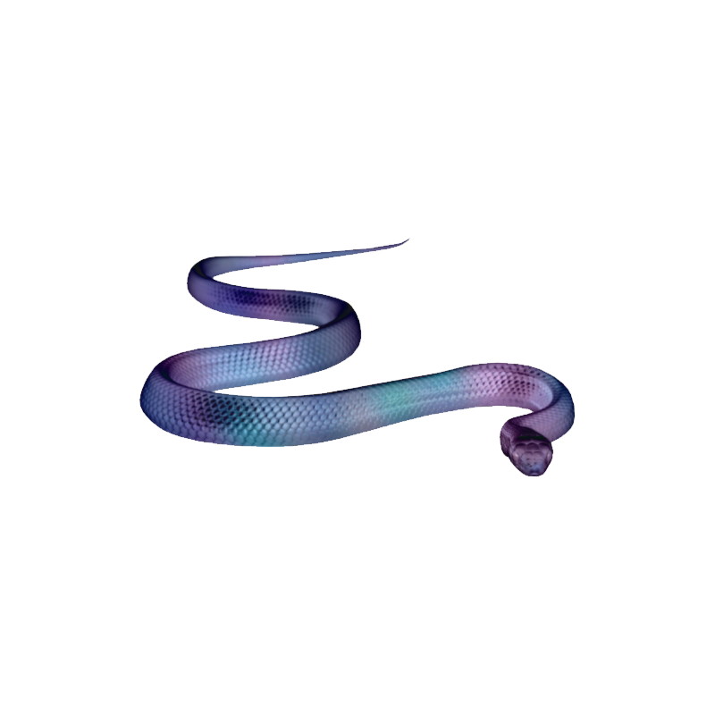 Indigo Snake Transparent Photo