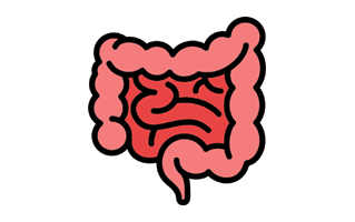 Intestine Free Sticker PNG