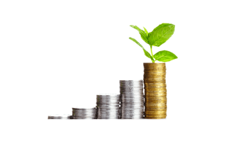 Investment PNG