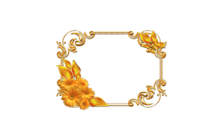 Invitation Frame PNG