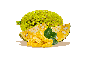 Jackfruit Juicy PNG