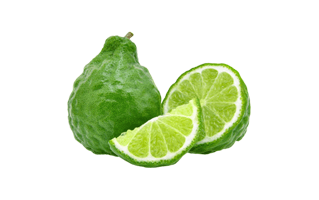 Kaffir Lime PNG