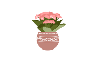 Kalanchoe Free Sticker PNG