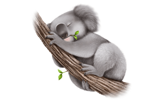 Koala PNG