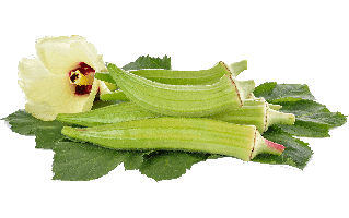 Lady Finger PNG