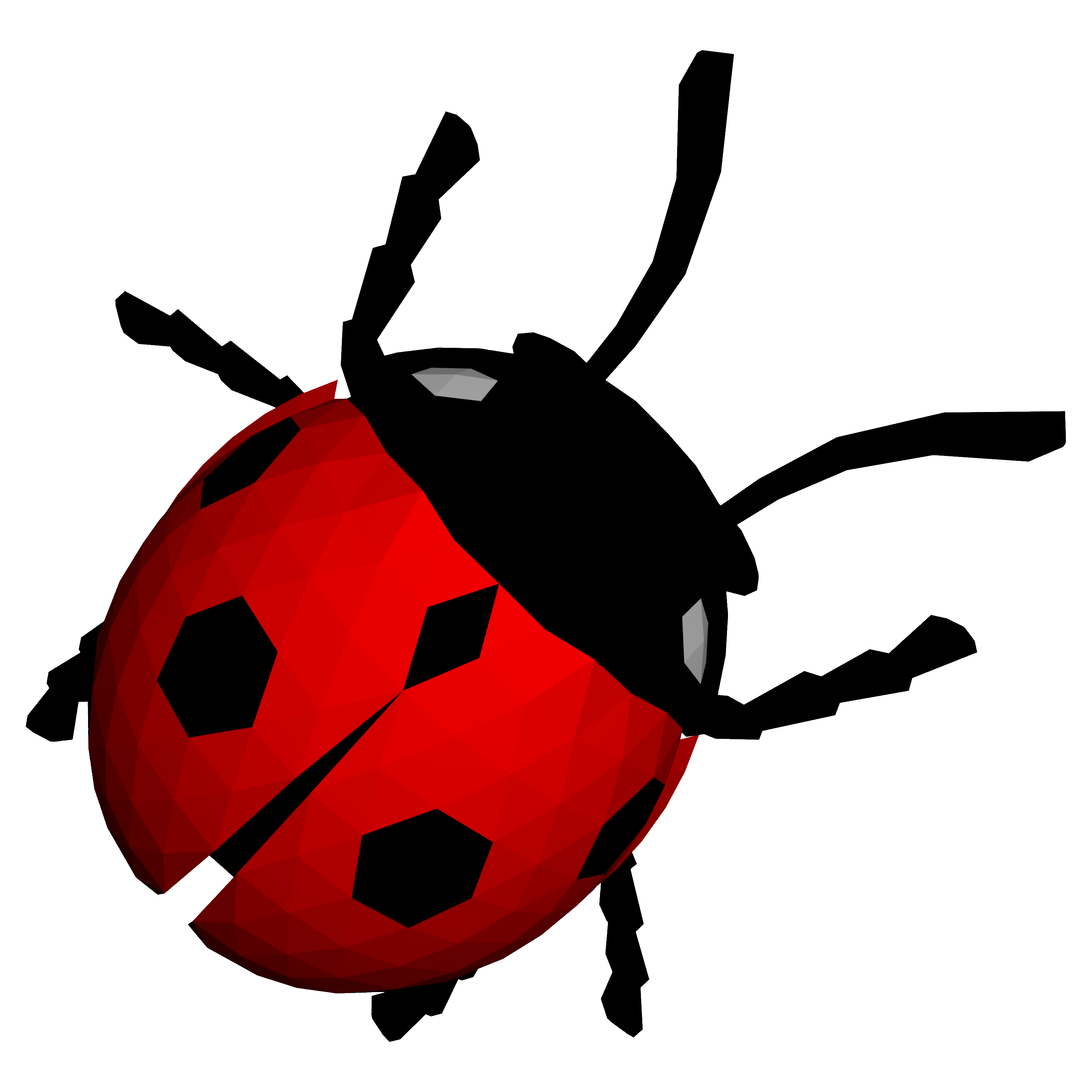 Ladybug Transparent Image