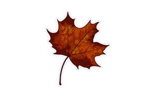 Leaf Sticker PNG