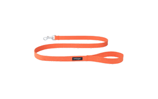 Leash PNG