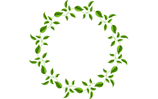 Leaves Frame PNG
