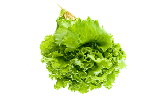 Lettuce PNG