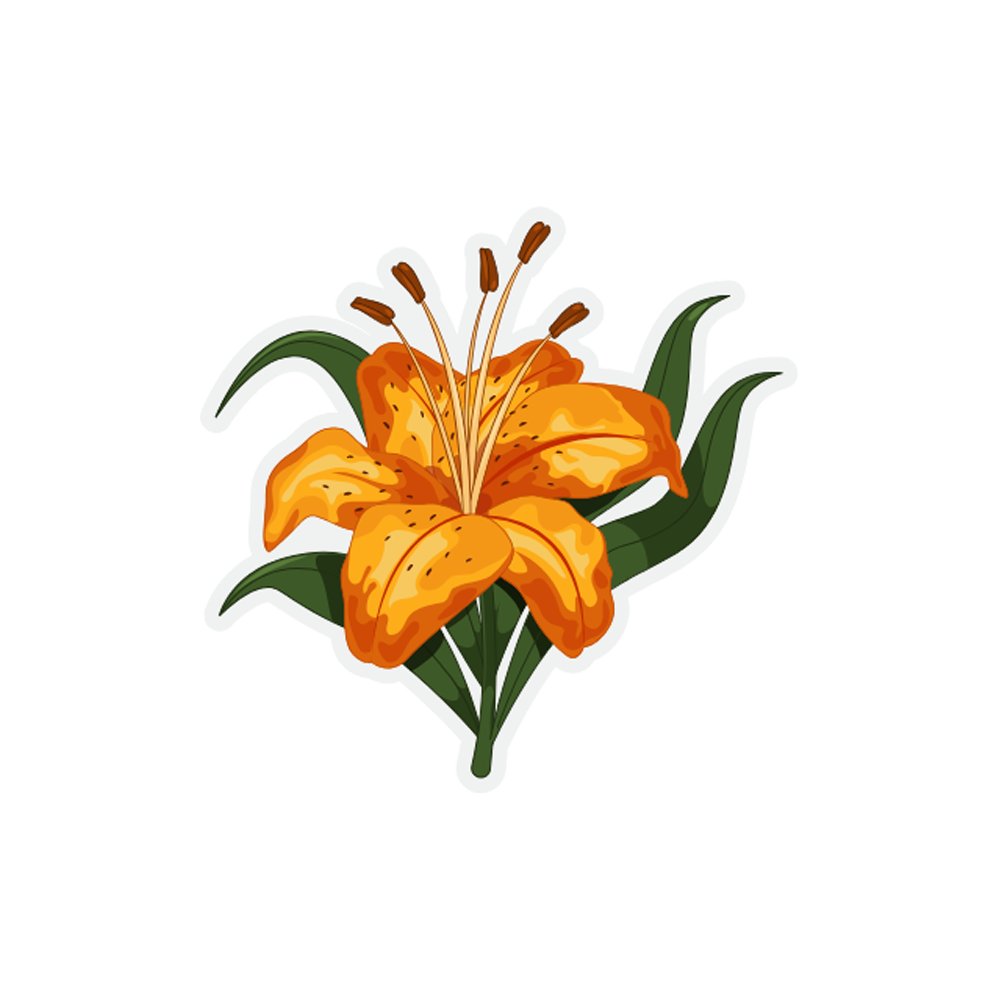 Lily Sticker Transparent Image
