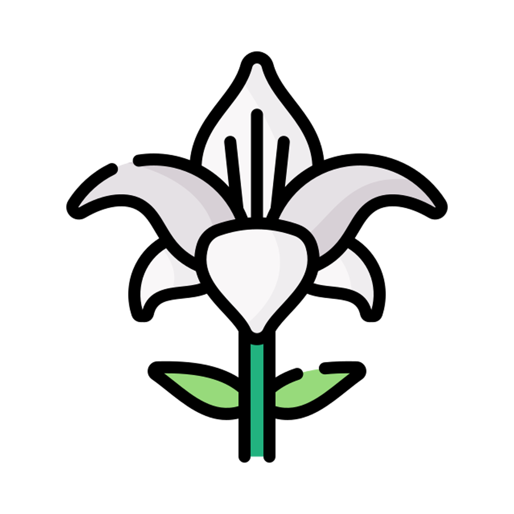 Lily Sticker Transparent Picture