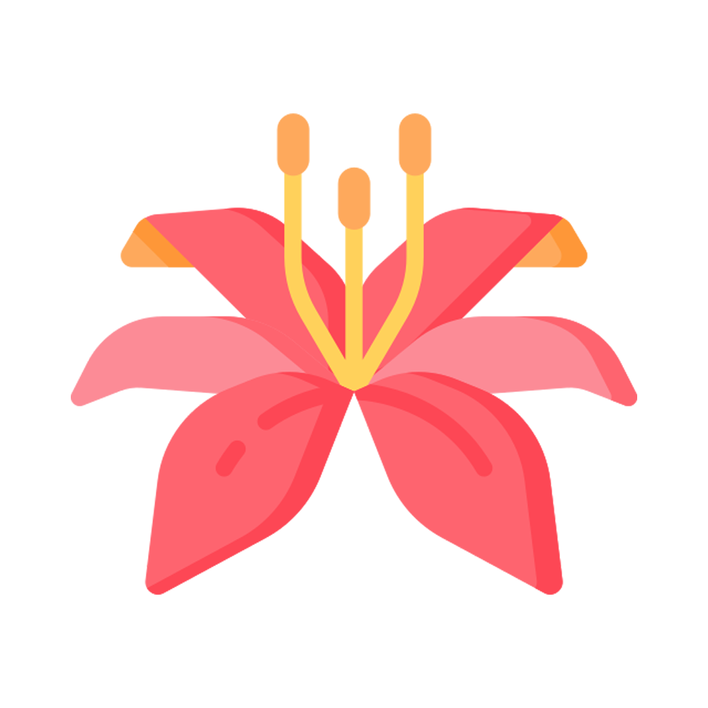 Lily Sticker Transparent Clipart