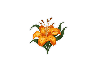 Lily Sticker PNG