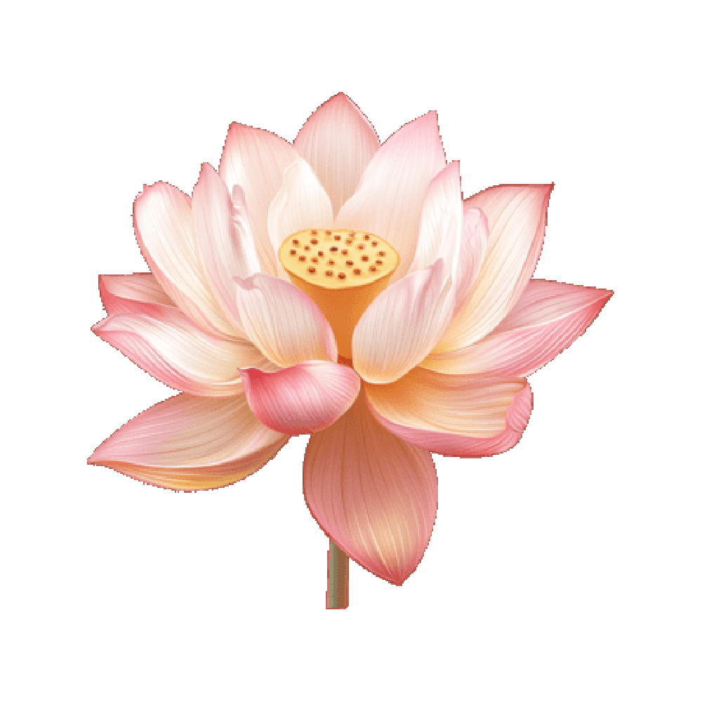 Lotus Free Sticker Transparent Image