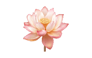 Lotus Free Sticker PNG
