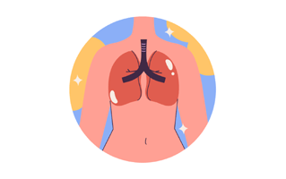 Lungs Free Sticker PNG